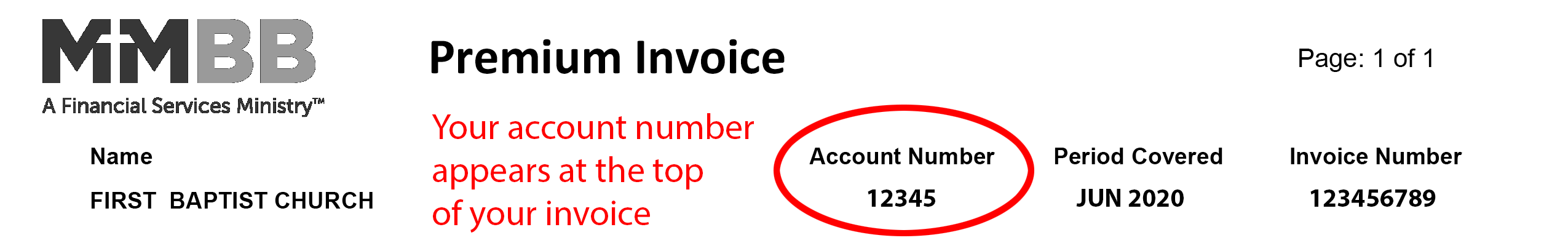 Account Number Format